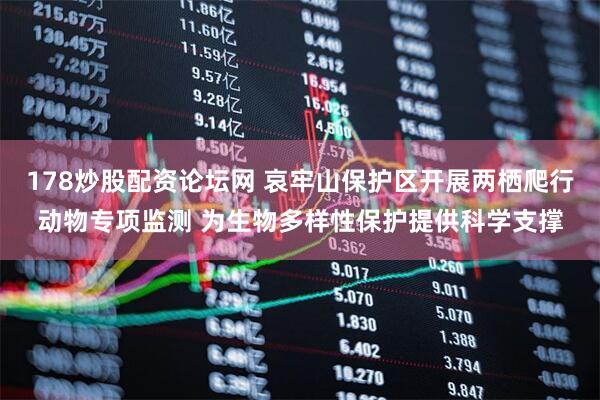 178炒股配资论坛网 哀牢山保护区开展两栖爬行动物专项监测 为生物多样性保护提供科学支撑