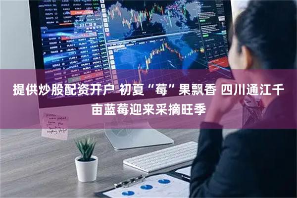 提供炒股配资开户 初夏“莓”果飘香 四川通江千亩蓝莓迎来采摘旺季